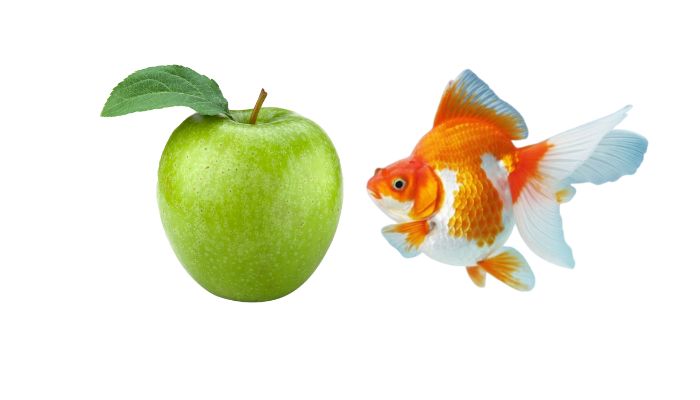 Can Goldfish Eat Apples