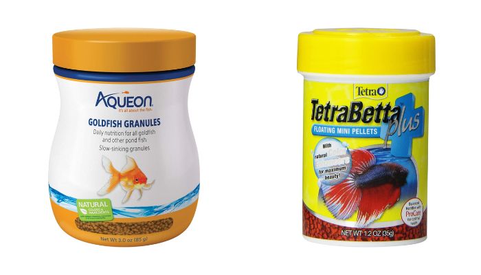 Can Goldfish Eat Betta Food? A Complete Guide