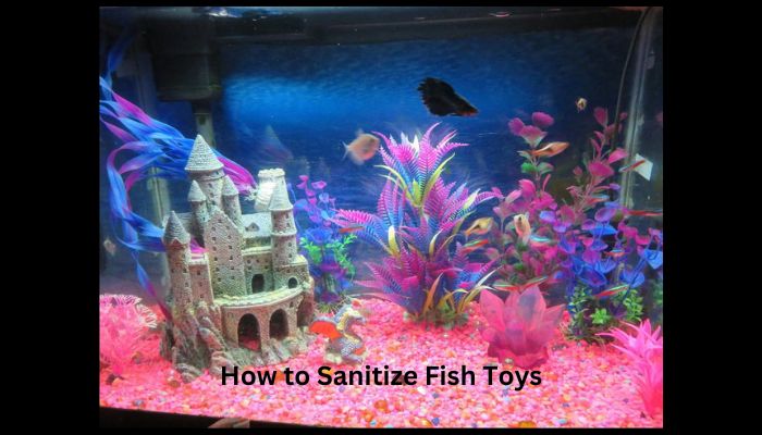 How to Sanitize Fish Toys