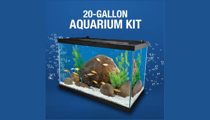 Panda Cory Care Tetra Aquarium 20 Gallon