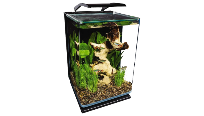 The Mystique of Betta Fish Marineland Portrait Glass LED Aquarium Kit