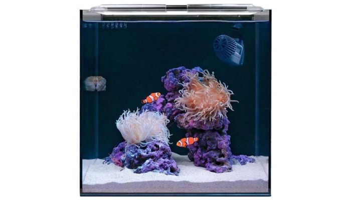 15 Gallon Beginner Clownfish Saltwater Aquarium Kit 