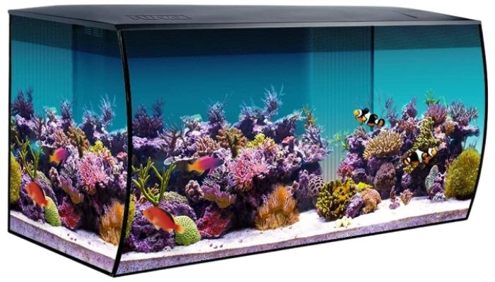 Marine Salt Water Aquarium Kit - Fish Tank for Fish